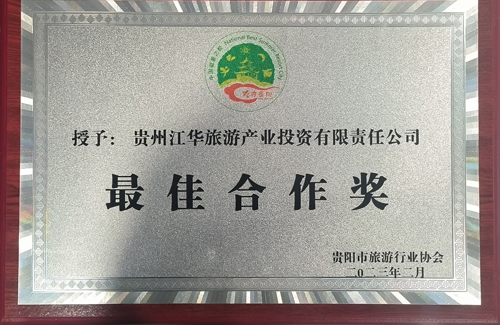 最佳合作奖.jpg